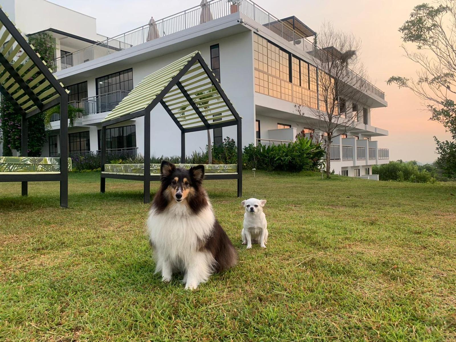 Hotel Arboreo Doradal Kültér fotó